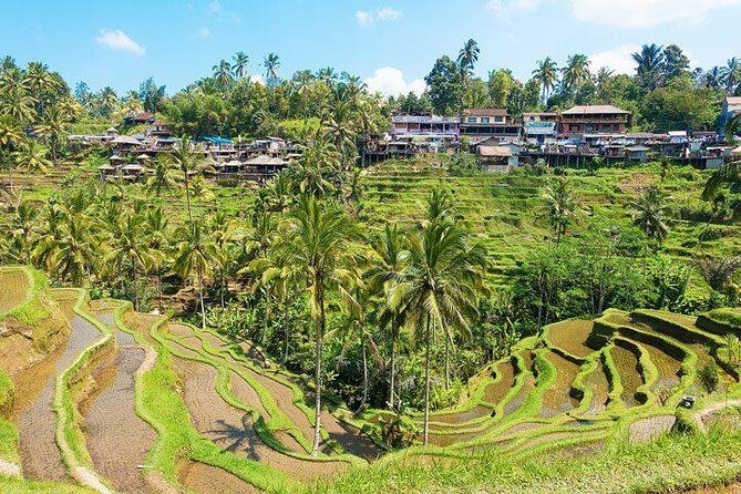 Ubud Countryside Tour: Campuhan Ridge Walk and Rice Terrace - Tegalalang Rice Terraces: views you can’t speed-run