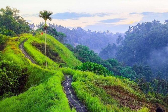 Ubud Countryside Tour: Campuhan Ridge Walk and Rice Terrace - Tirta Empul Temple: why the water matters here