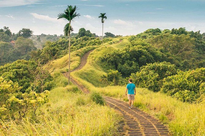 Ubud Countryside Tour: Campuhan Ridge Walk and Rice Terrace - Tegenungan Waterfall: plan for full photo time