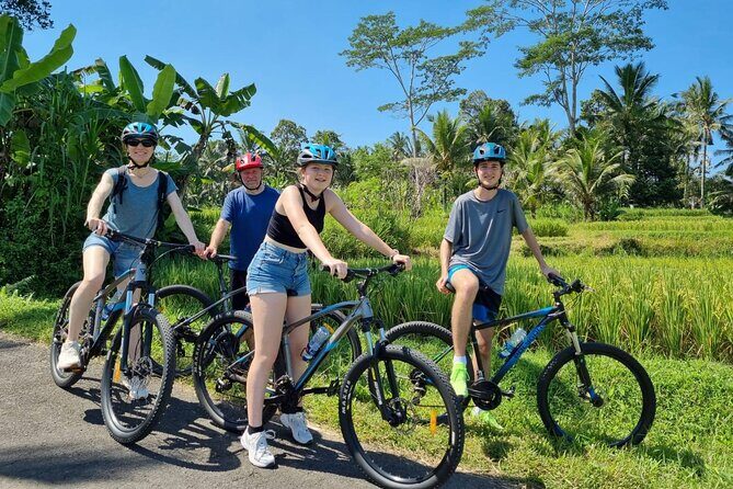 Ubud: Downhill Cycling with Volcano, Rice Terraces and Meal - Price and Value: What You Actually Get for $36.66