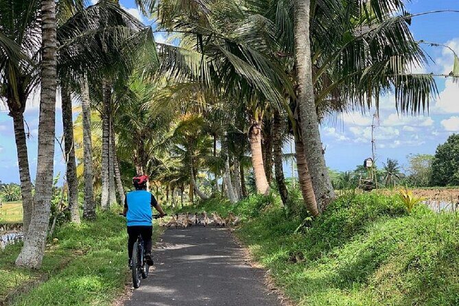Ubud: Downhill Cycling with Volcano, Rice Terraces and Meal - Manukaya Area Stops: School Visits, Family Temples, and Everyday Life