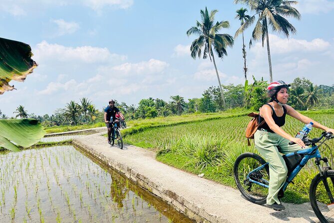 Ubud eBikes Tour to Tegallalang Rice Terrace - Price and value: what $30.55 really covers