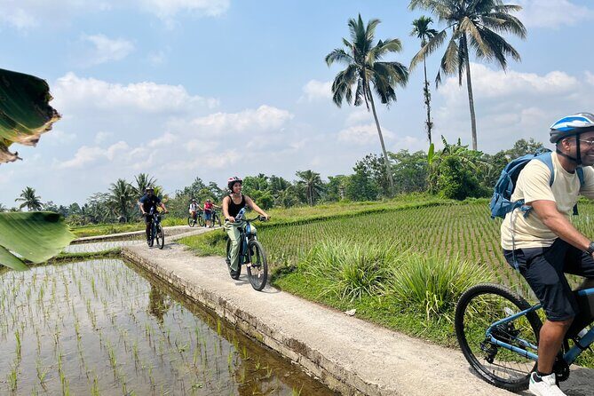 Ubud eBikes Tour to Tegallalang Rice Terrace - Tegallalang Rice Terrace lunch and viewing time
