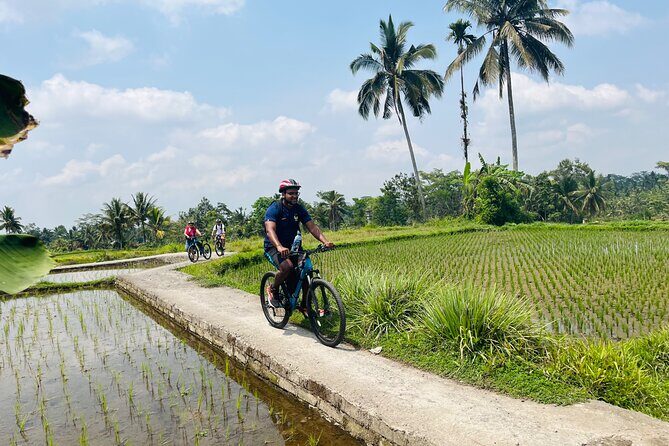 Ubud eBikes Tour to Tegallalang Rice Terrace - Cultural stops: Balinese home visits and temple time