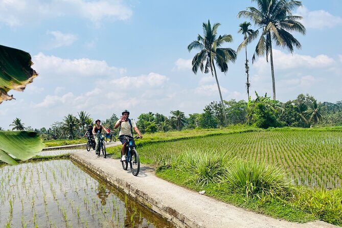 Ubud eBikes Tour to Tegallalang Rice Terrace - E-bikes, helmets, and the “choose your effort” factor
