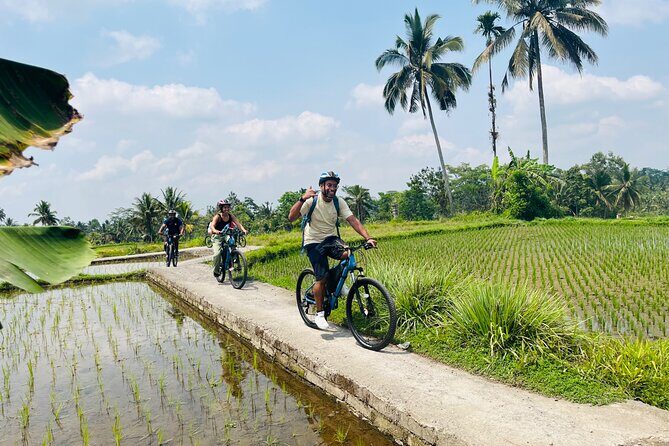 Ubud eBikes Tour to Tegallalang Rice Terrace - What the pace feels like (and who will enjoy it most)