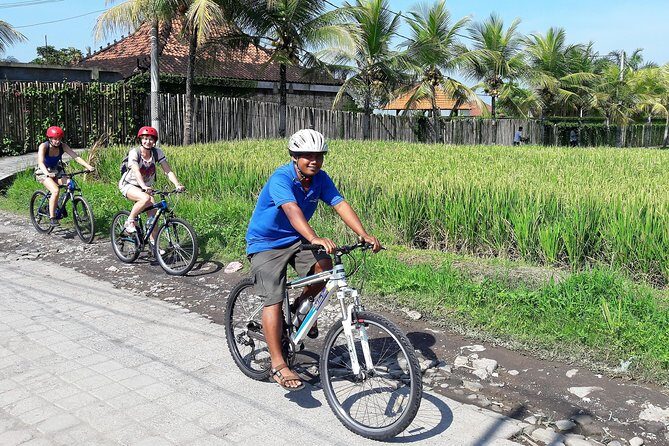 Ubud Eco Culture Cycling Exploration - Abangan & Junjungan rice fields: coconut breaks and mostly-easy riding