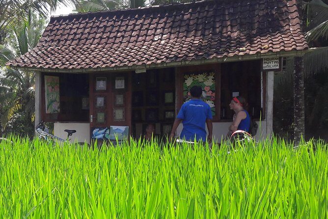 Ubud Eco Culture Cycling Exploration - Village rhythm, temples, and fruit tastings with your guide