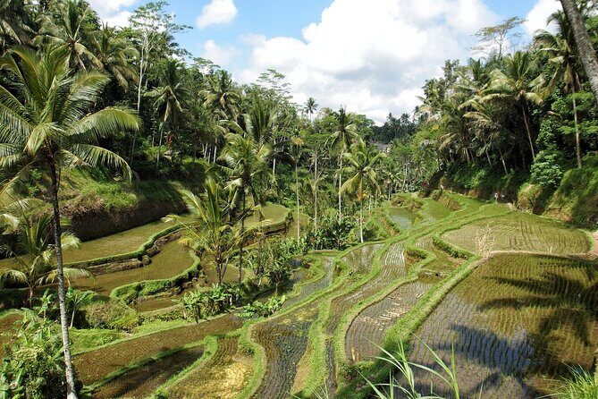 Ubud Explorer Private Day Tour - Who Should Book This Ubud Explorer Tour
