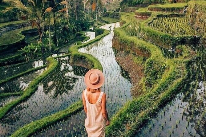 Ubud Explorer Private Day Tour - Tegenungan Waterfall: The Hike-In Photo Moment