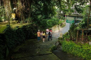 Ubud Guided Walking Tour - Gunung Lebah Temple: why Hinduism looks the way it does in Bali