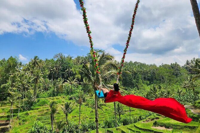 Ubud Half Day Zipline and Jungle Swing - A half-day in Ubud: waterfalls, rice terraces, and swing-or-zip adrenaline