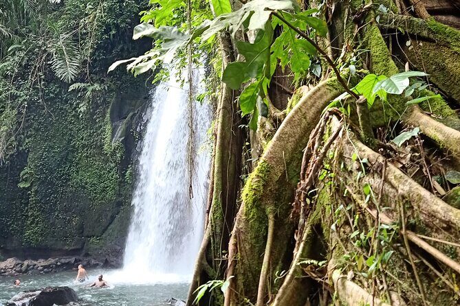 Ubud Half Day Zipline and Jungle Swing - Zipline over the rice fields: short run, real nerves