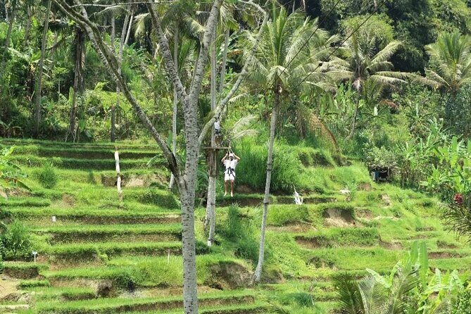 Ubud Half Day Zipline and Jungle Swing - Price and what you get for $69.80: value check