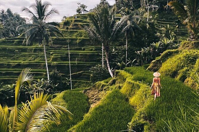 Ubud Higlights Full Day Tour - Private Tour Experience - Tegenungan Waterfall: the popular, accessible fall near Ubud