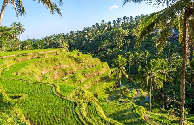 UBUD Instagram Spot Tour with Photographer - Key things I’d circle before you book