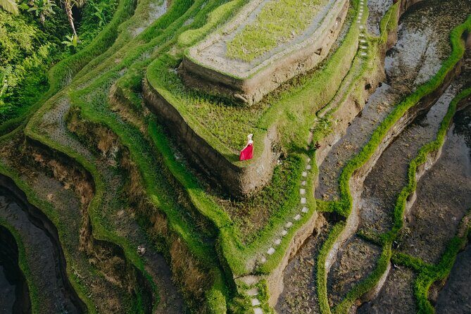 UBUD Instagram Spot Tour with Photographer - Kumulilir coffee and tea: jungle views plus samples you’ll actually use