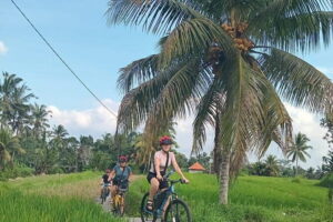 Ubud : Kintamani Downhill Cycling Tour with Lunch - Starting in Bayung Gede: orientation before you roll