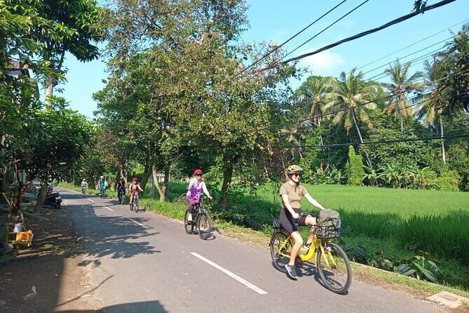 Ubud : Kintamani Downhill Cycling Tour with Lunch - Transfers and timing: why the logistics feel easy
