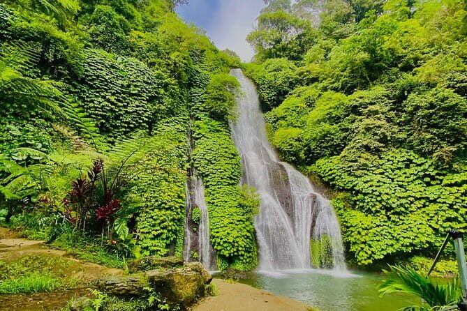 Ubud : Kintamani Downhill Cycling Tour with Lunch - Who this tour suits best (and who should consider alternatives)
