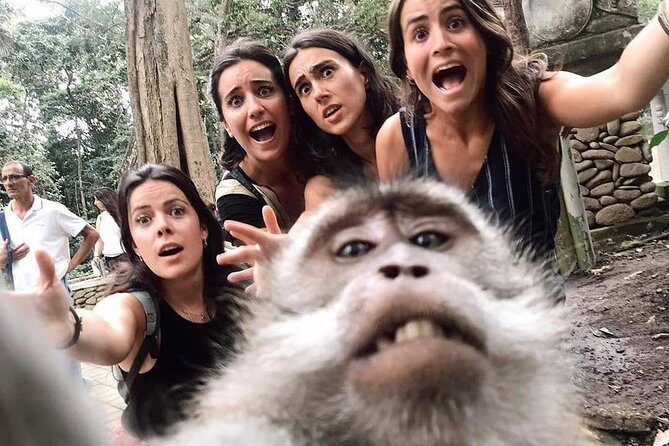 Ubud Monkey Forest, Holy Water Temple & Waterfalls Tours - Stop 4: Tukad Cepung Waterfall (Cave Views and Photo Time)