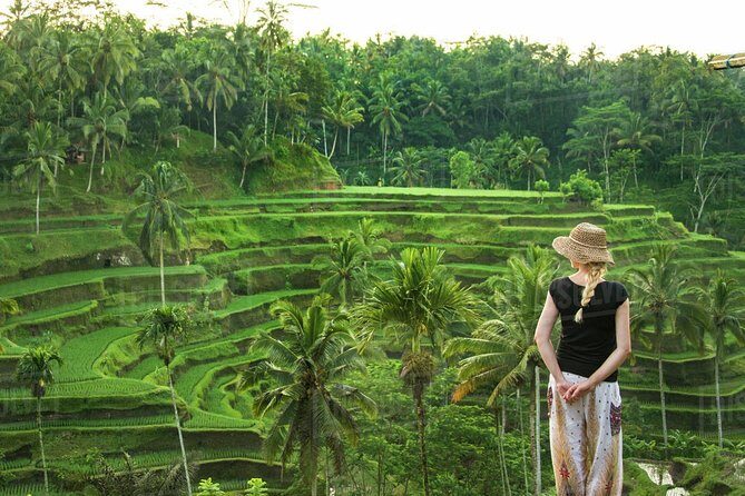 Ubud: Monkey Forest, Jungle Swing, Rice Terrace, and Water Temple - Tegenungan Waterfall: Jungle Views and Optional Swim Time