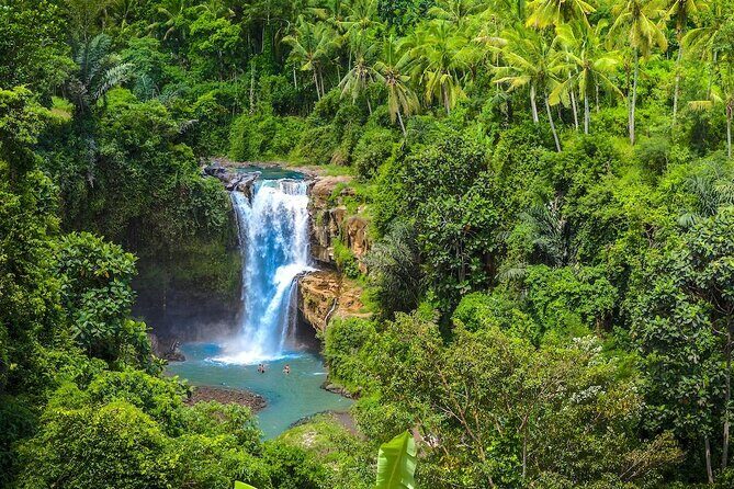 Ubud: Monkey Forest, Jungle Swing, Rice Terrace, and Water Temple - Celuk Village and the Ubud Center Market: Silver Craft and Small Buys