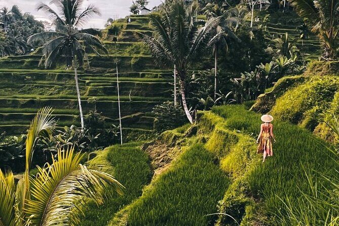 Ubud Monkey Forest, Rice Terrace & Tirta Empul Temple Tour - Key highlights you’ll actually feel