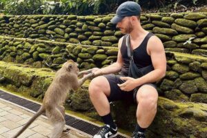 Ubud Monkey Forest, Rice Terrace & Tirta Empul Temple Tour - Sacred Monkey Forest Sanctuary: close encounters with long-tailed macaques