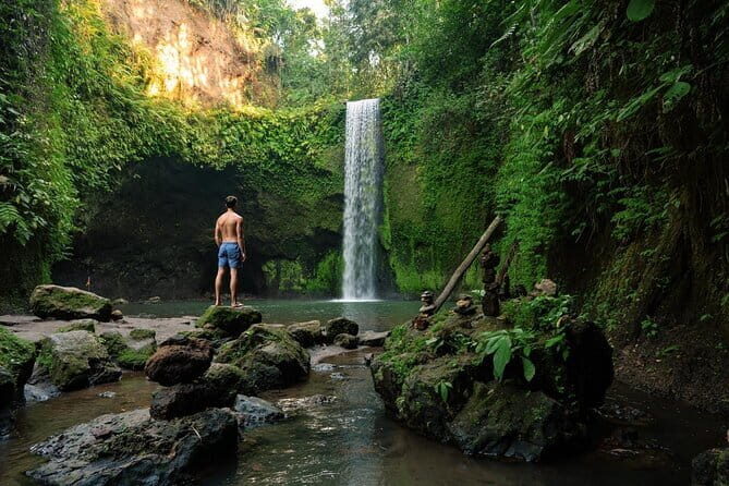 Ubud: Monkey Forest, Rice Terraces and Jungle Swing Tour - Ubud art and craft chance: silver, wood carving, painting, batik