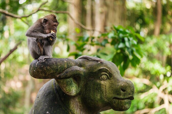 Ubud: Monkey Forest, Rice Terraces & Sacred Temples - Small-group morning: pickup, guide, and a smooth 9:30 start