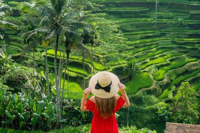 Ubud: Private Customized Highlights Tour - Price and Value: What $58.98 Covers (and Why It Can Still Be a Smart Deal)