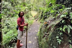Ubud: Private Customized Highlights Tour - How the Timing Works: Half-Day vs Full-Day Without Feeling Rushed