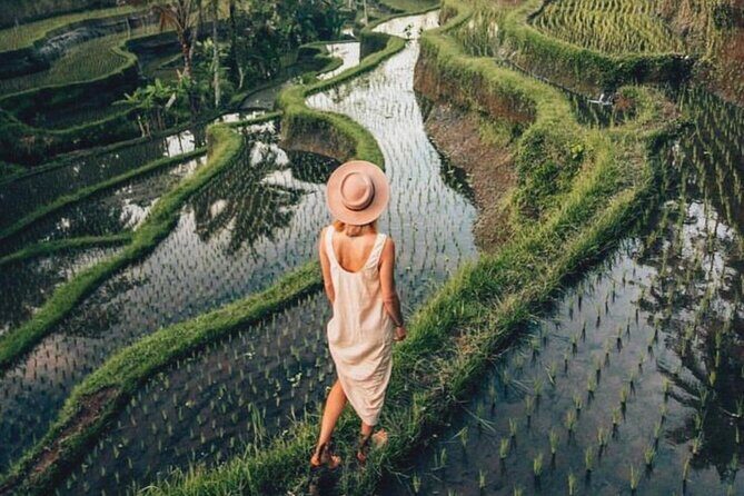 Ubud: Private Customized Highlights Tour - Rice Terraces and Forest Culture: Tegalalang, Monkey Forest, and Ubud Palace