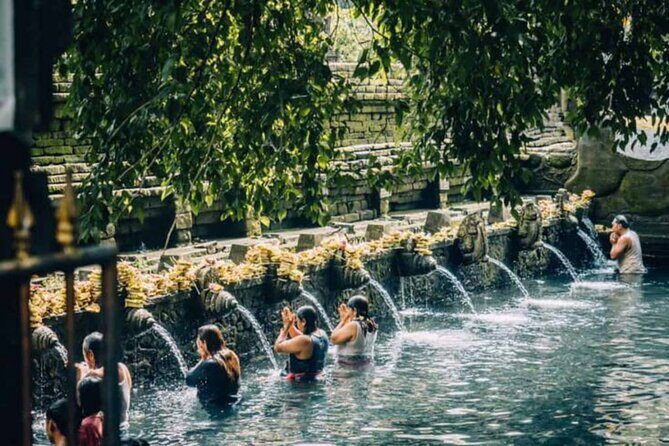 Ubud: Private Customized Highlights Tour - Should You Book This Private Ubud Highlights Tour?