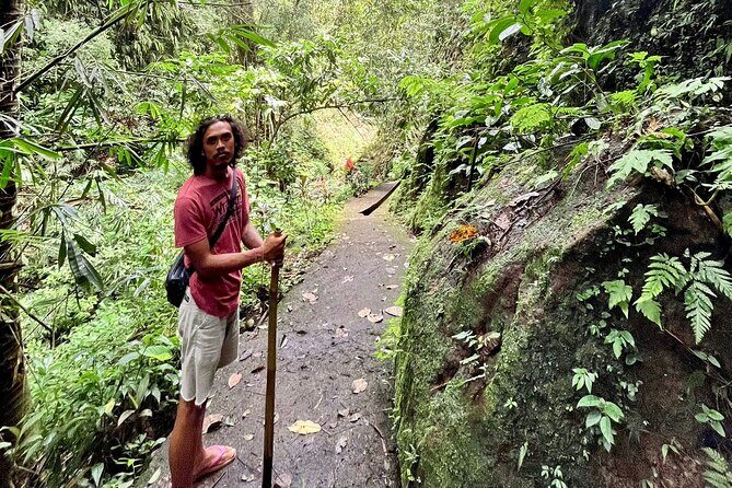 Ubud: Private Customized Highlights Tour - How the Timing Works: Half-Day vs Full-Day Without Feeling Rushed