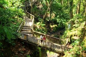 Ubud Private Tour : Best Of Ubud - Guided Tour - How the day flows (and how not to waste it)