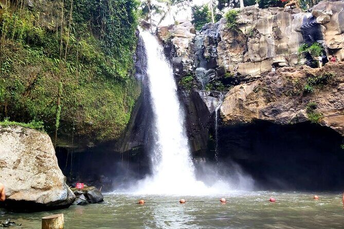 Ubud Private Tour : Best Of Ubud - Guided Tour - Stop 3: Tegalalang Rice Terrace and the subak system (45 minutes)