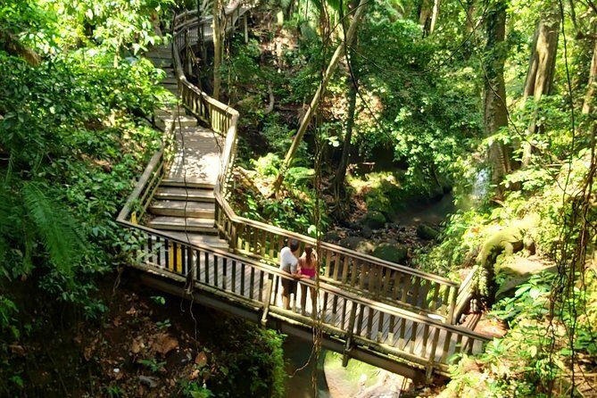 Ubud Private Tour : Best Of Ubud - Guided Tour - How the day flows (and how not to waste it)