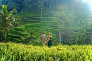 UBUD Private Tour – Rice Terrace, Jungle Swing & Hidden Waterfall - Private driver comfort in Ubud: less stress, better timing
