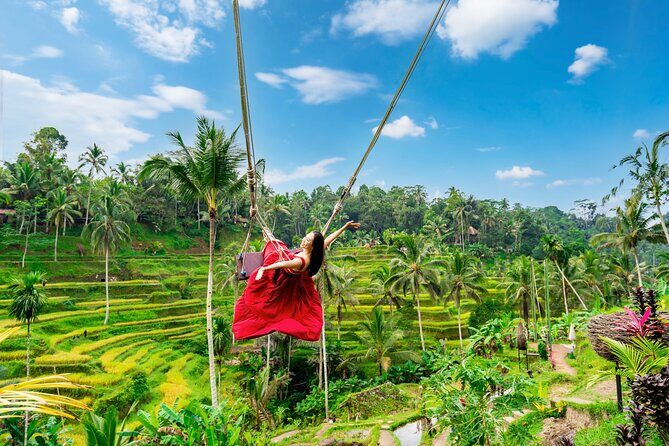Ubud Private Tour: Waterfalls, Temple and Rice Terraces Swing - Key highlights to expect