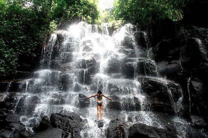 Ubud Private Tour: Waterfalls, Temple and Rice Terraces Swing - Tirta Empul Holy Water Temple: what to know before you go