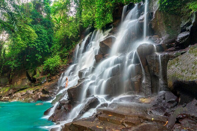 Ubud Private Tour: Waterfalls, Temple and Rice Terraces Swing - Pemulan Bali Coffee Plantation: more than a photo pit stop