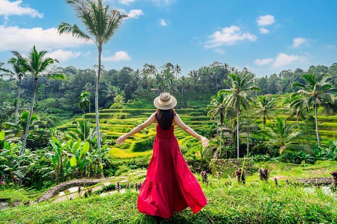 Ubud Private Tour: Waterfalls, Temple and Rice Terraces Swing - Getting there: pickup, Wi-Fi, and skipping the self-drive headache
