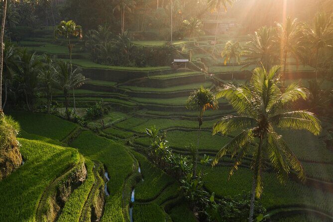 Ubud Private Tour - Waterfalls, Water Temple & Rice Terraces - Tukad Cepung: Sunbeams Through the Cave Roof