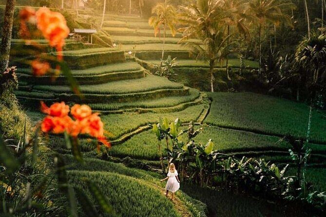 Ubud Private Tour - Waterfalls, Water Temple & Rice Terraces - Tirta Empul Temple: The Purification Ritual and What to Expect