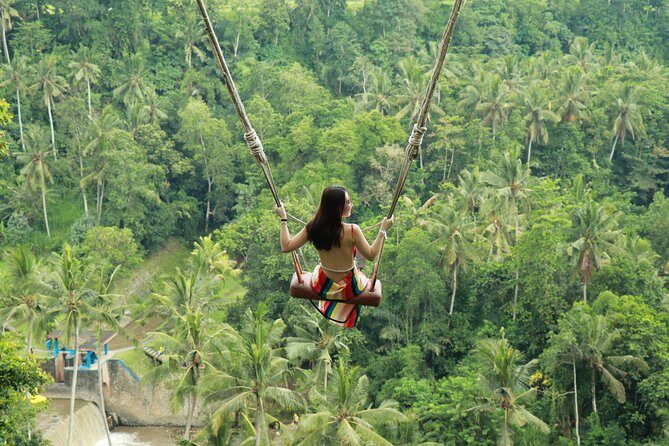 Ubud Private Tours with Jungle Swing Experience - all inclusive - Key highlights worth circling