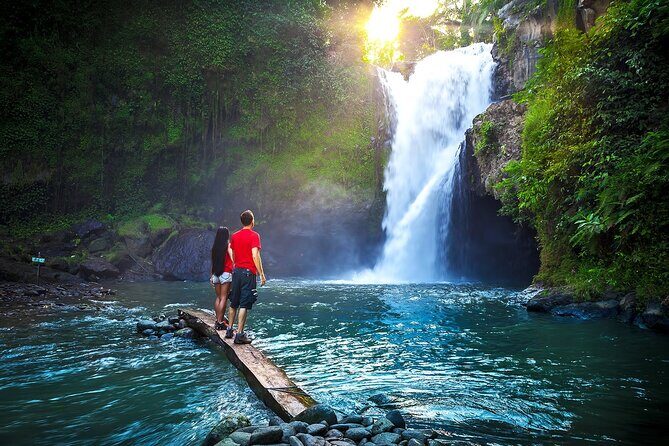 Ubud Private Tours with Jungle Swing Experience - all inclusive - Lunch Built In: More Time for Sightseeing, Less Time Thinking