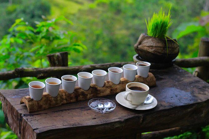 Ubud Sightseeing, Holy Water Temple & Waterfall - Stop 3: Tirta Empul Temple and Ritual Cleansing