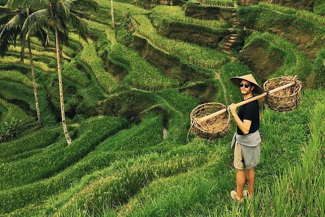 Ubud Sightseeing, Holy Water Temple & Waterfall - Private Driver Logistics: What You Gain (and What to Watch)